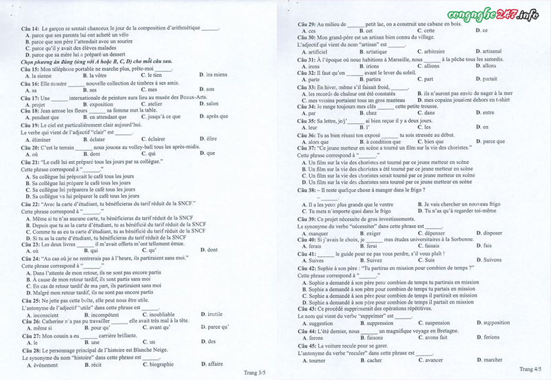 File đề minh họa thi tốt nghiệp THPT 2022