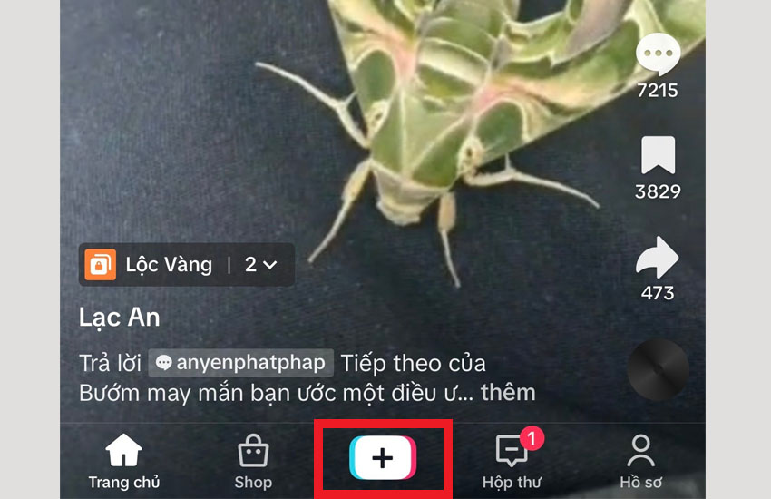 Luu video TikTok cua minh khong dinh logo