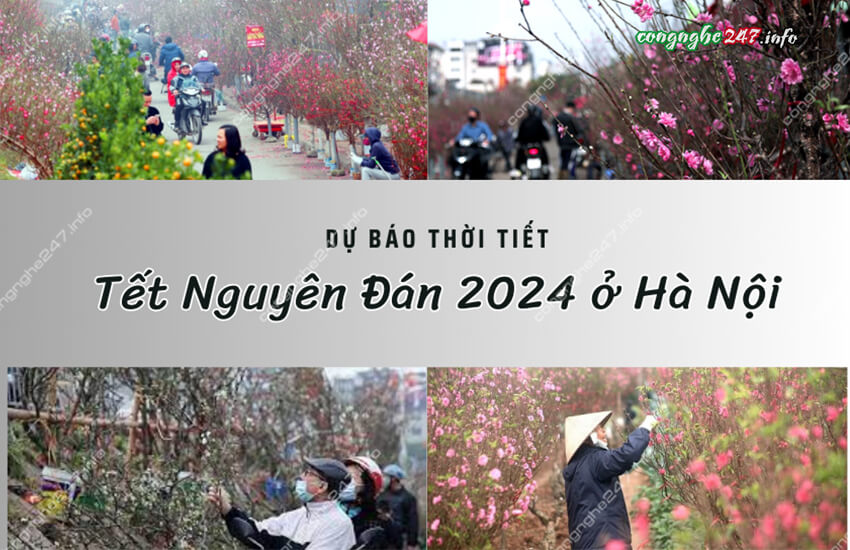 thoi tiet tet nguyen dan 2024 tai ha noi